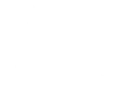 Marina Callegaro